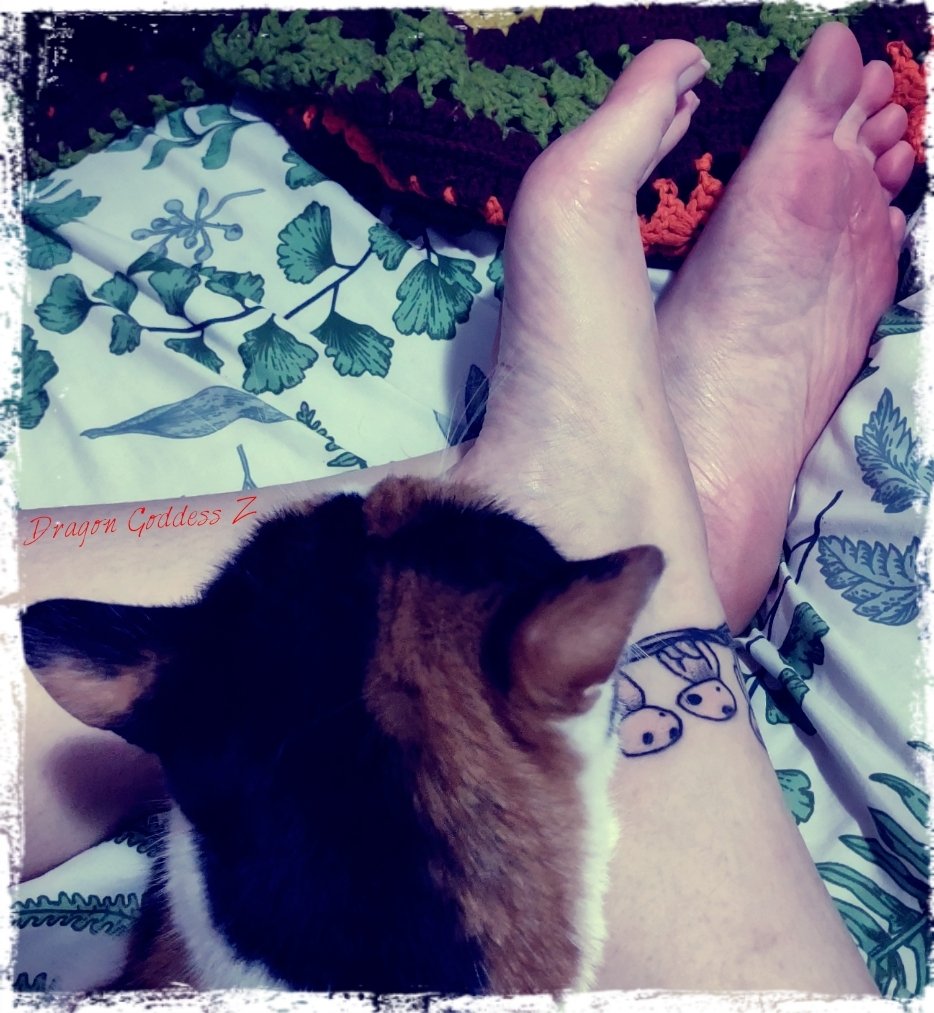 DragonGoddessZ's tweet photo. 🚲🐉👣Bike Day and Saoirse snuggles. It's the best!👣✨🐈
🤤You love these holes don't you?🙄 just DM n 🤑💰🐷 already!🤣
.
#holeysocks #socktease #dirtysocks #oldsocks #bikesocks ##sockfetish #💰🐷 #barefootbabe #footgoddess #footfemdom #findom #footfetıshcommunity https://t.co/oeRzdauYjt