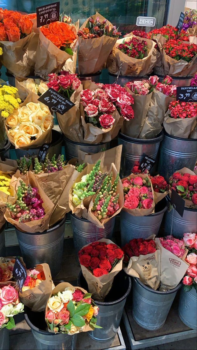 _softvibes's tweet image. 