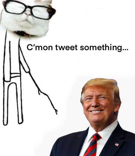 pythadoge's tweet photo. @catturd2 https://t.co/QbmAm4ZKdE