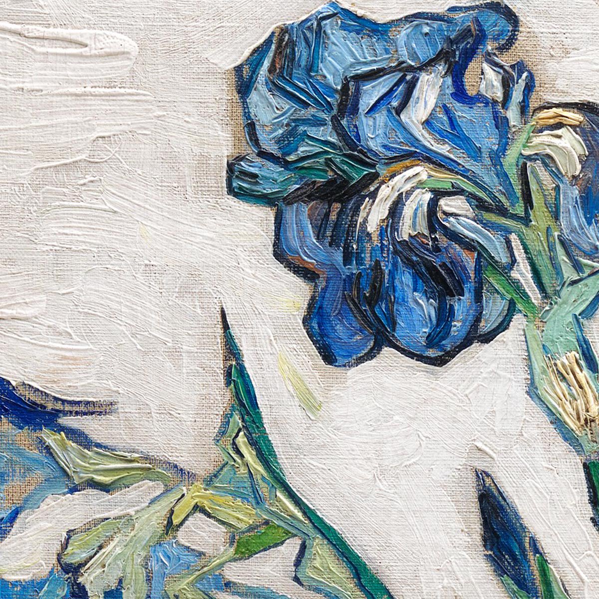 AcademiaAesthe1's tweet image. Van Gogh, brush strokes