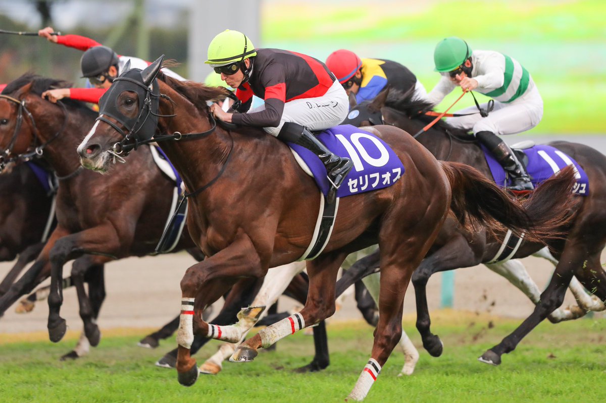 爆買い！ マイルCS競走馬色紙イラスト JRA競馬