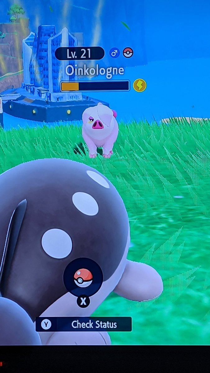 Zahbsessed's tweet photo. OMFG!!! 😭😭😭
I just found my first shiny in this game and IT'S ONE MY FAVORITE FREAKING NEW POKEMON!!!!
YYYYEEEEEEESSSSS!! 🥺💞✨
#Pokemon #PokemonViolet #Spoilers https://t.co/3WSYYBqT0F