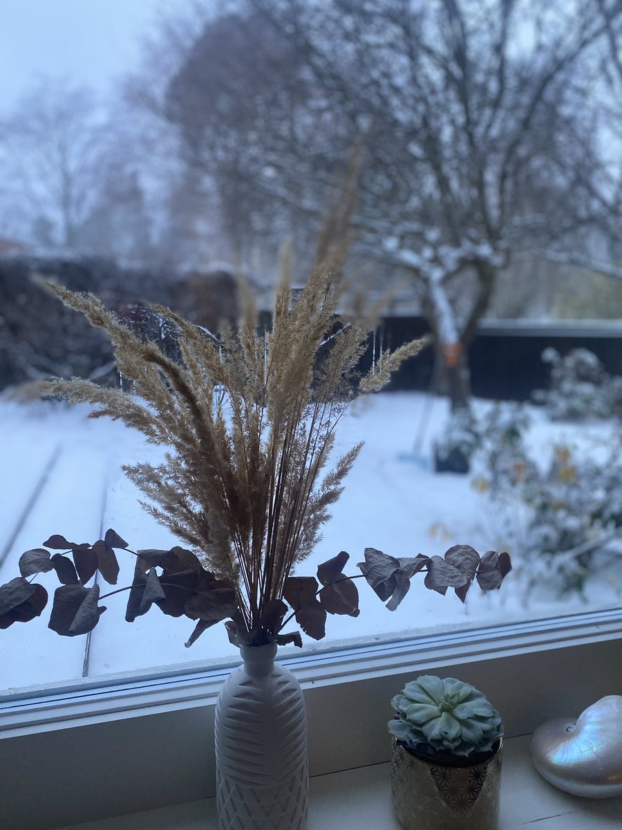 SSoitula's tweet photo. Hey Talvi❄️
Sinua odotettiinkin jo saapuvaksi🙏🏼
#ensilumi #firstsnow https://t.co/6AMqkgE3Ar