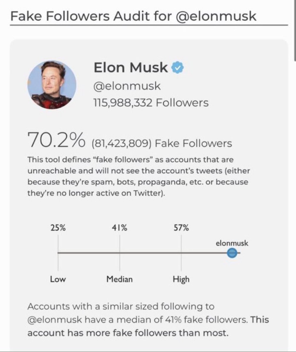 Meka 🥝 Mekakiwi @ Kikorangi 💙 & Tribal tweet media