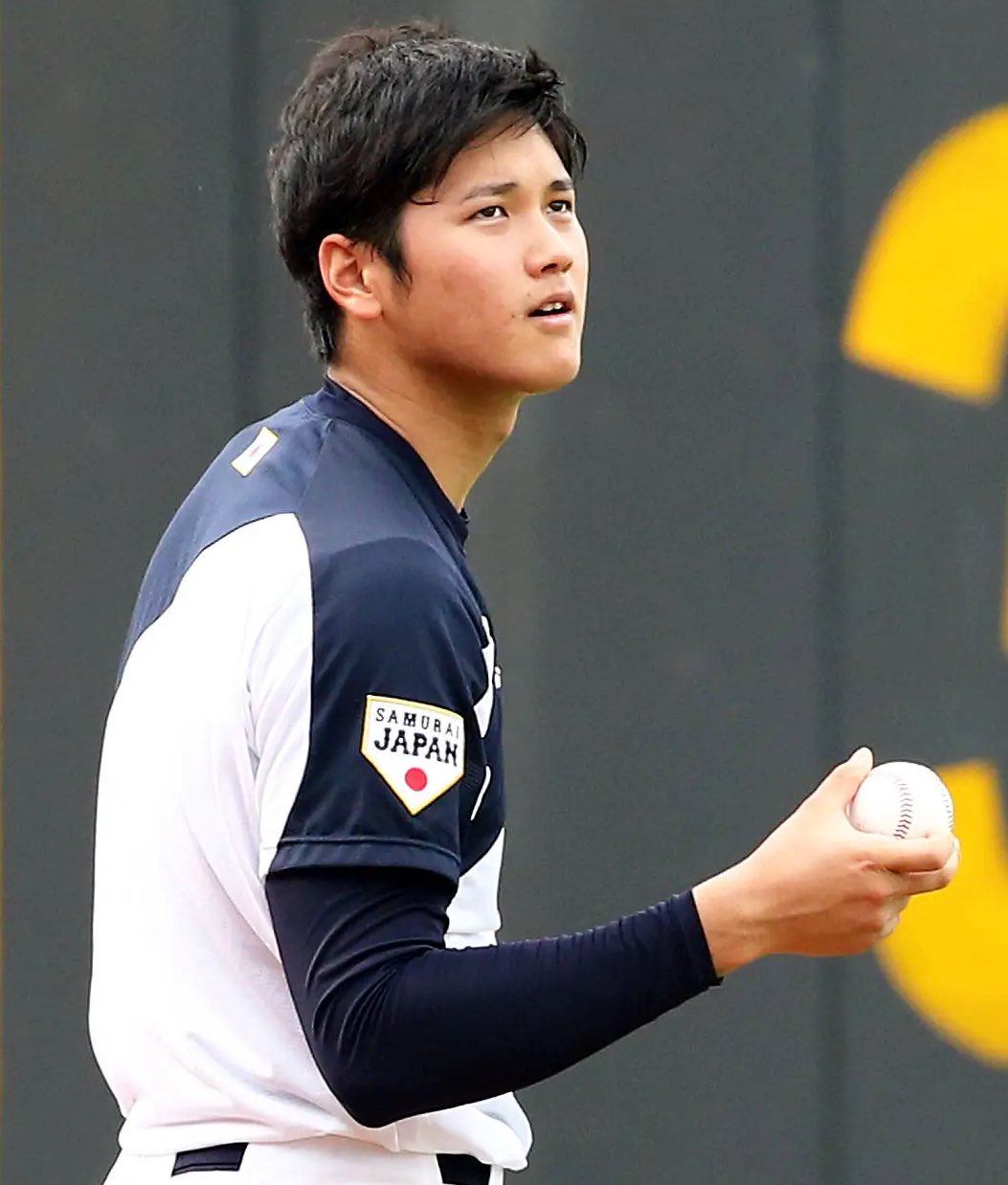 shobae 大谷翔平¹⁷ Ohtani Shohei ¹⁷ 🐶 on X: 