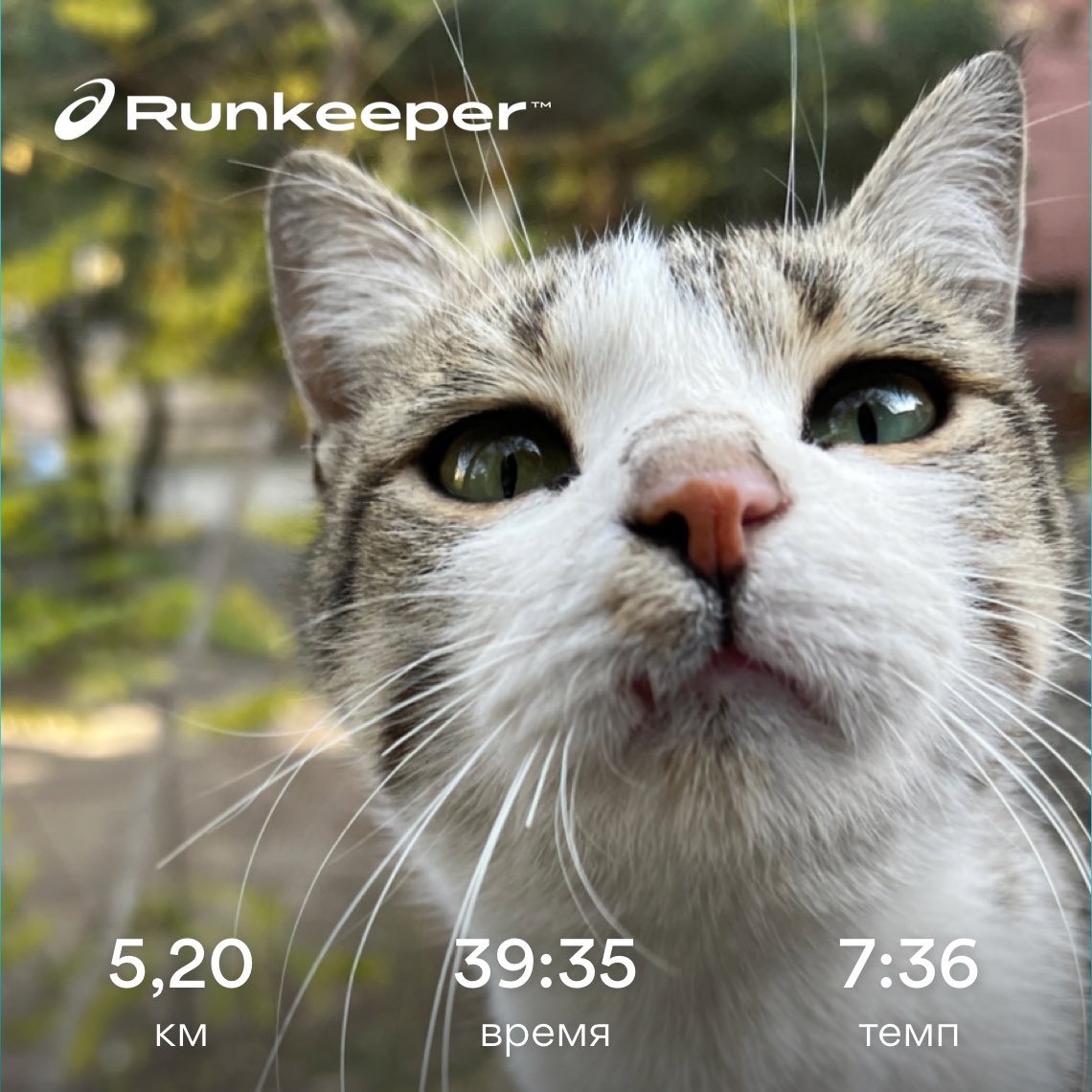 witoldauna's tweet photo. Danke Seb #runwithseb https://t.co/h5xGGMsQQk