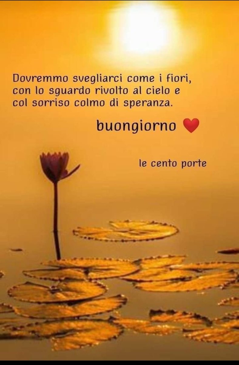 MarcoColla7 tweet picture