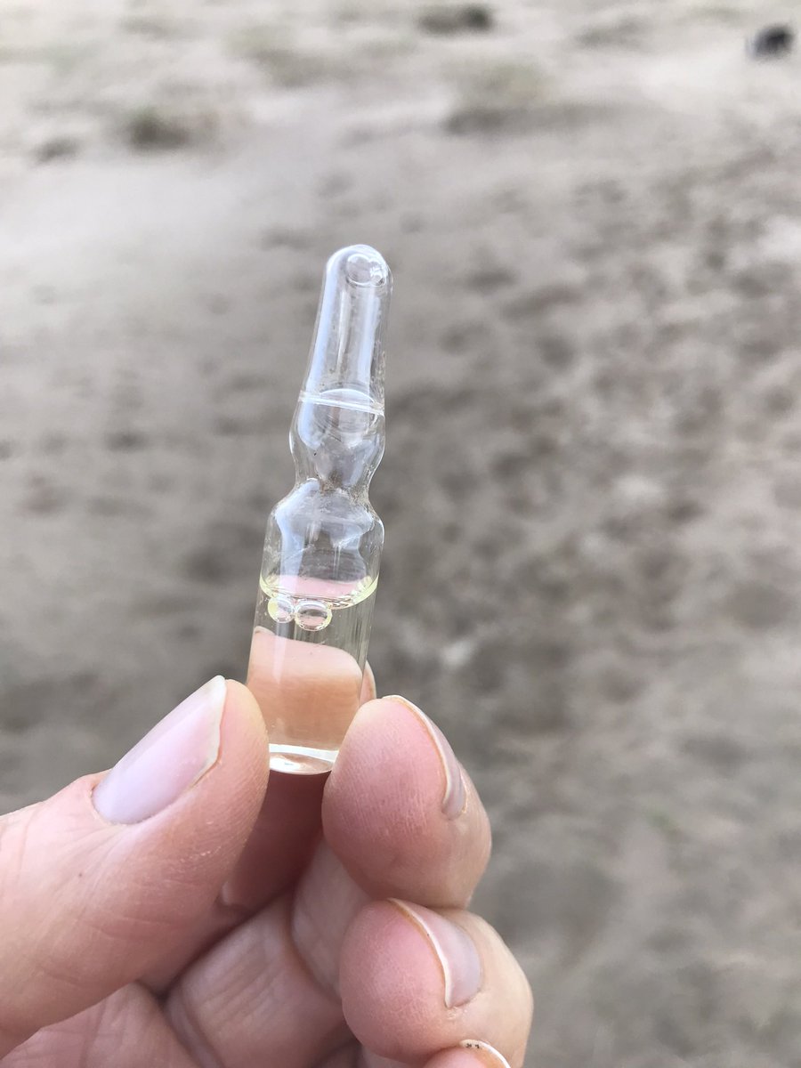 Jules O'Shea tweet media