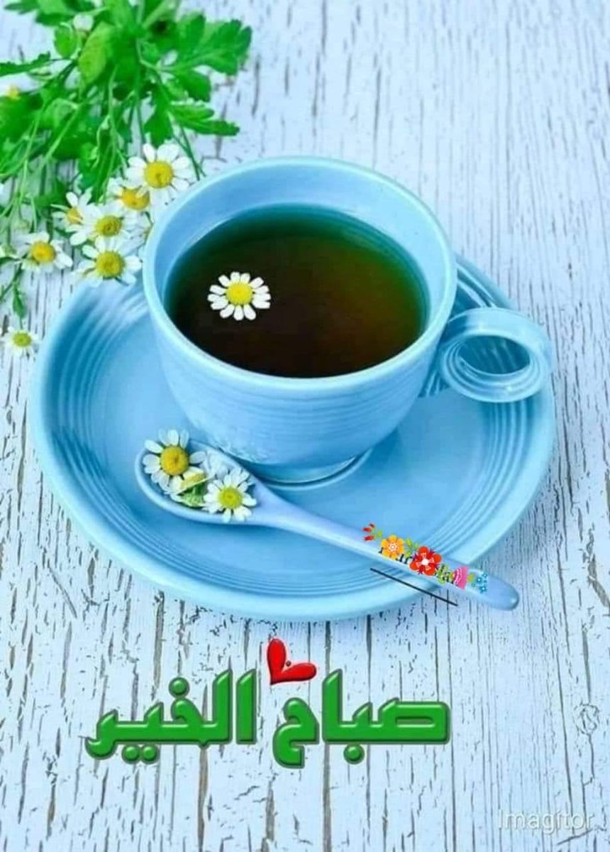 Sabreeen16's tweet photo. @abosltan77 https://t.co/U4qXoBFbLr