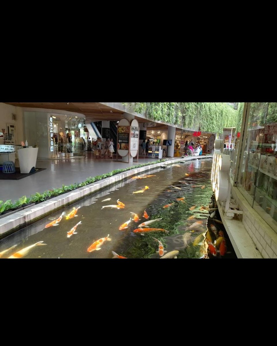 yonjeni88's tweet photo. miss this place https://t.co/QG9F0teGBS
