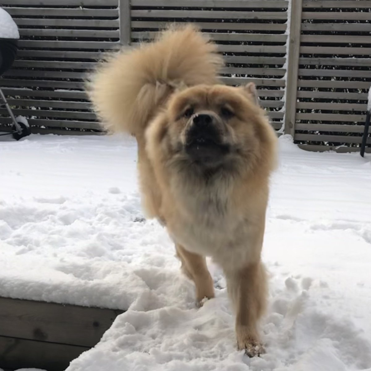 Samuel Edelbring tweet media