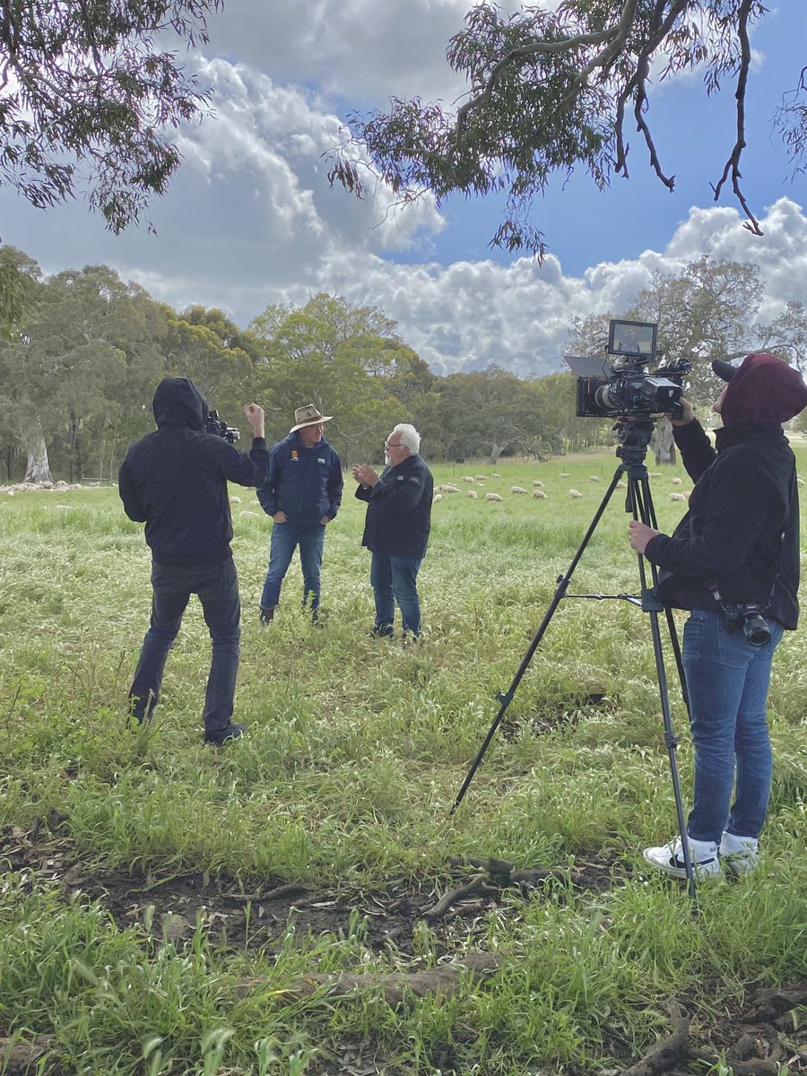 Tim Leeming tweet media