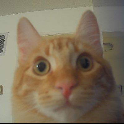 Sloand tweet media