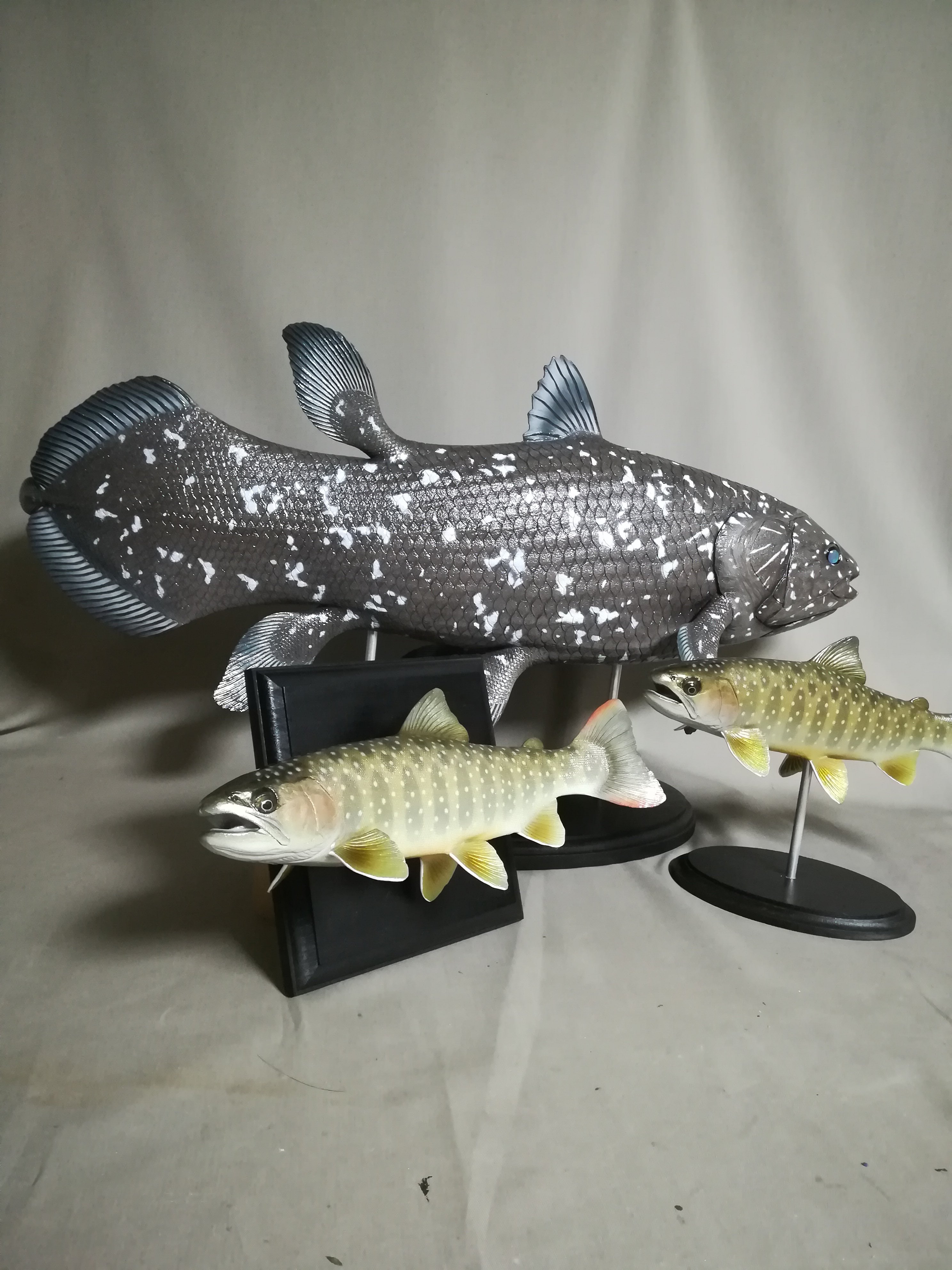 ○ハンドメイド 手作り 46cmイトウ 魚模型 フィギュア