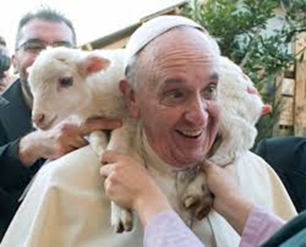 Michael65413248's tweet photo. Hereโs the #Homilies, #Angelus/#ReginaCaeli & #GeneralAudiences of .@Pontifex we compiled (based on the topics and dates)
https://t.co/9PafJEEpD5
Use it and say a little prayer for his intentions as he is praying for ours & the World too. Many Thanks. https://t.co/6dSeZCcyUB