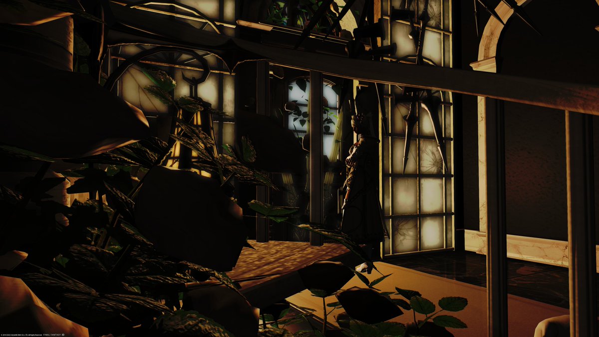 NeetNiya's tweet photo. #GPOSERS
#XIV_PICTCLIP
#FF14 #FF14SS
#綺麗なお姉さまは好きですか
#FF14キャラ入り風景SSの会
#ヴィエラ
#chaaka
私のお勧めでマリアさんを連れてきました^^ https://t.co/FfNfHE6VZW