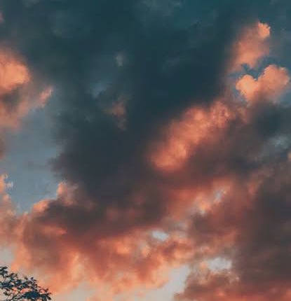 virendersehwag's tweet photo. SKY these days.
Always on fire. In a league of his own.

#SuryaKumarYadav https://t.co/kDPfgfhmp9