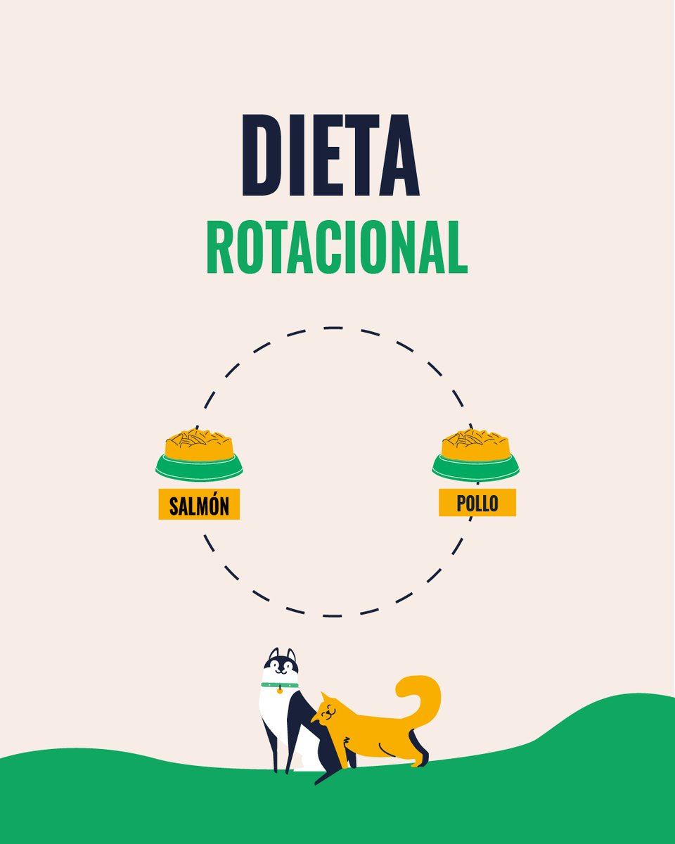 ¡Te invitamos a unirte a la dieta rotacional! 🔄

Rompe la monotonía y dale una alegría a tu mascota con diferentes recetas, pollo, salmón… ¿Cuál es su favorita?

Prueba nuestro pienso natural marca Planeta Huerto, ¡le va a encantar! 💚

somosplanetahuerto.com/3yrP3yn