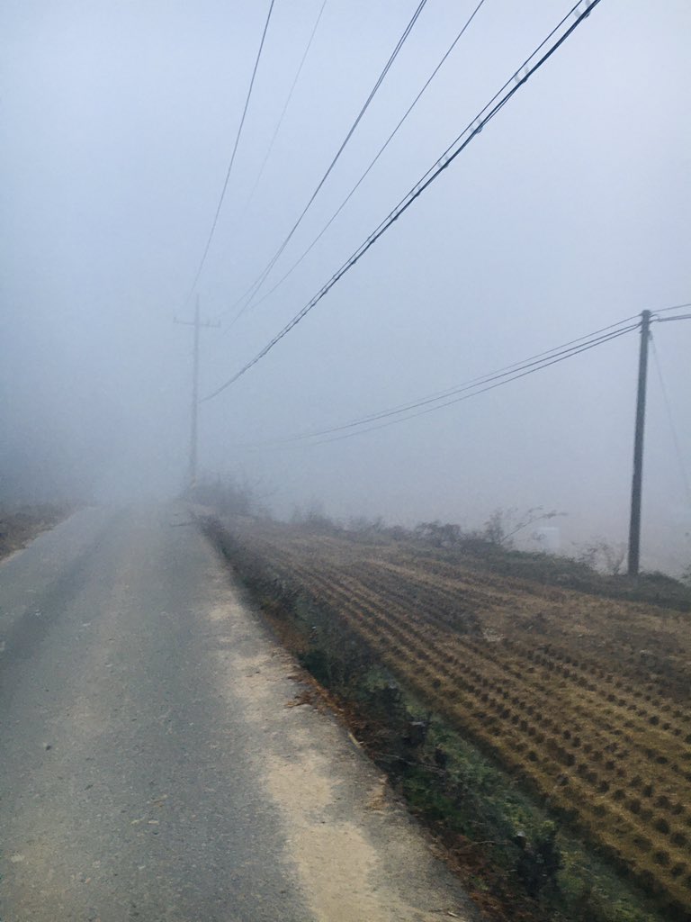 JakePerante's tweet photo. Foggy day at South Korea. https://t.co/6euAtbPwUO