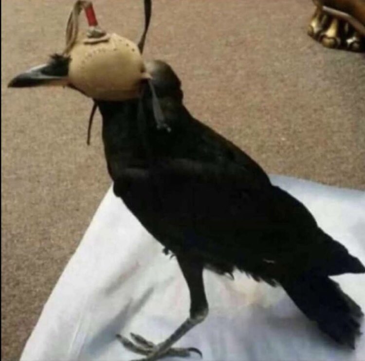 الزهراني tweet media