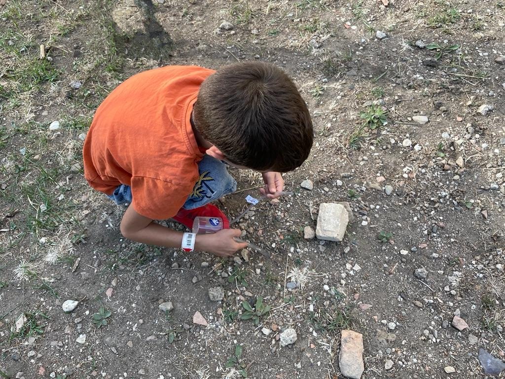 Oggi appuntamento con tutti i #bambini alle ore 11:00 e alle ore 12:00

Come faccio a catturare una formica per osservarla da vicino senza farle male? Semplice: con l’aspirainsetti, strumento fondamentale per ogni mini-entomologo. Costruiamolo insieme e iniziamo la “caccia”! 🐜