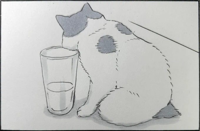 『飲める?』 