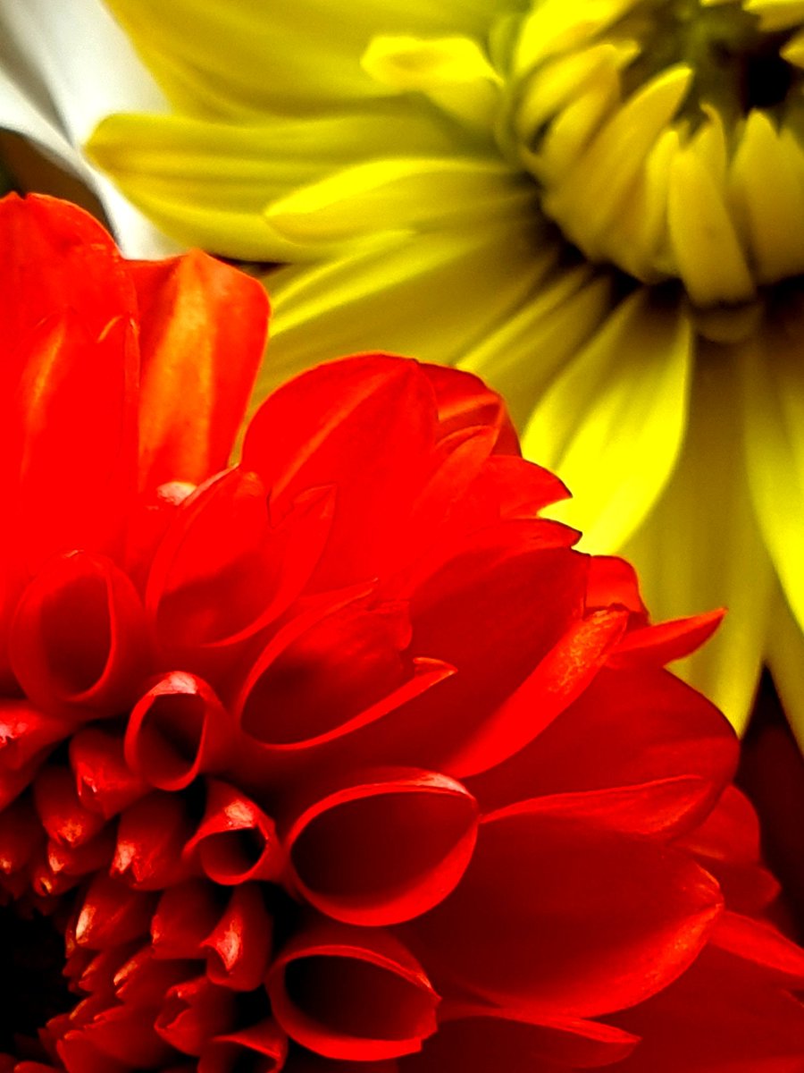 Solar collision 

#YouTopian #OctoPush