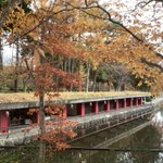 ツイートに含まれる画像