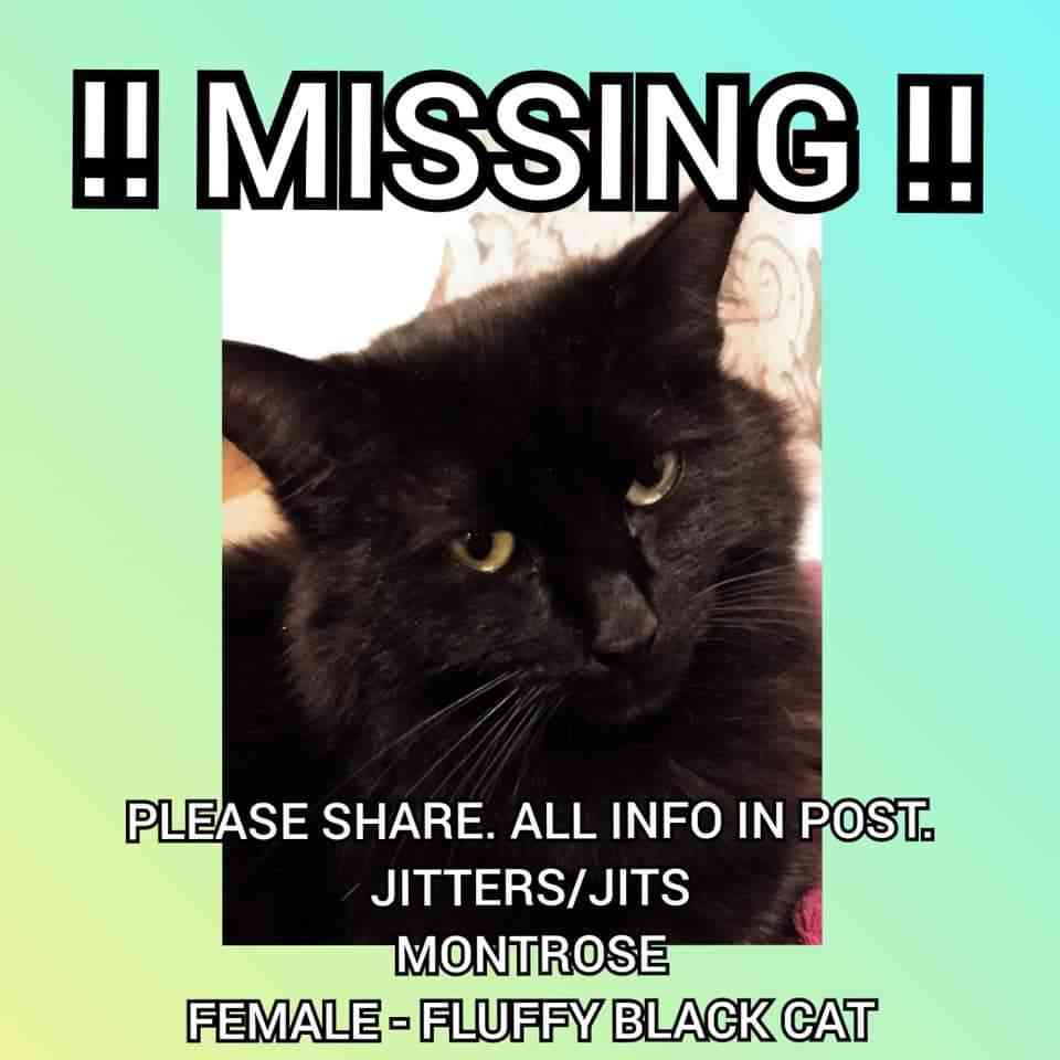 🌸🍑✨️𝕻𝖊𝖆𝖈𝖍𝖊𝖘✨️🍑🌸 ପ(๑•ᴗ•๑)ଓ ♡🐝 tweet media