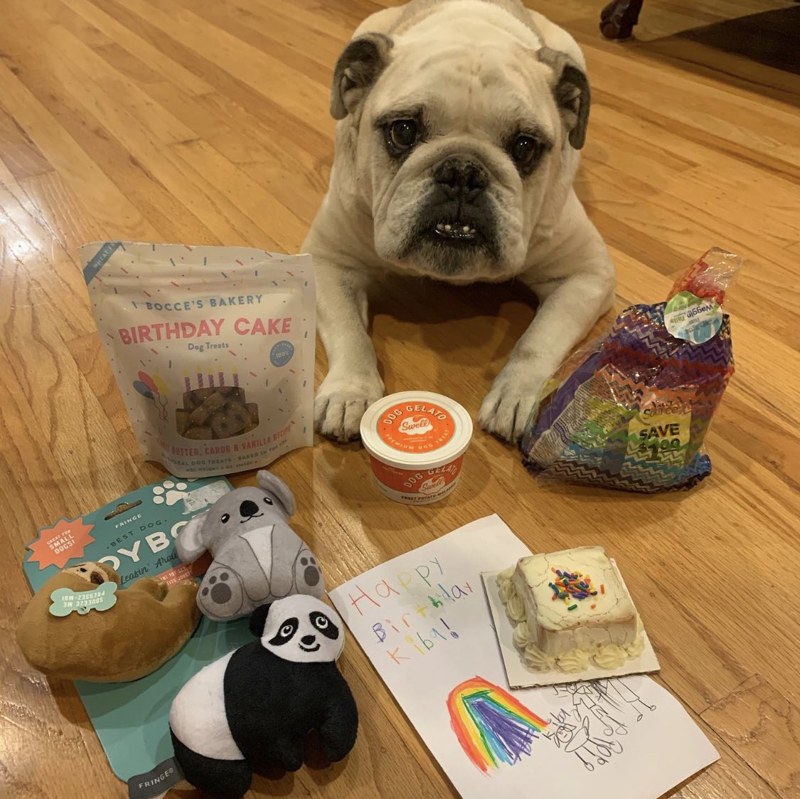 Bulldog_Kiba's tweet photo. 🎂Happy golden birthday to me! I turned 11 years old yesterday - 11/11! 

Always had a special and easy to remember birthday : 11/11/11 ☺️

(Posting a day late since my human was out of town!)

(https://t.co/Sfq6j21PyH) https://t.co/KPzhfgrt6H