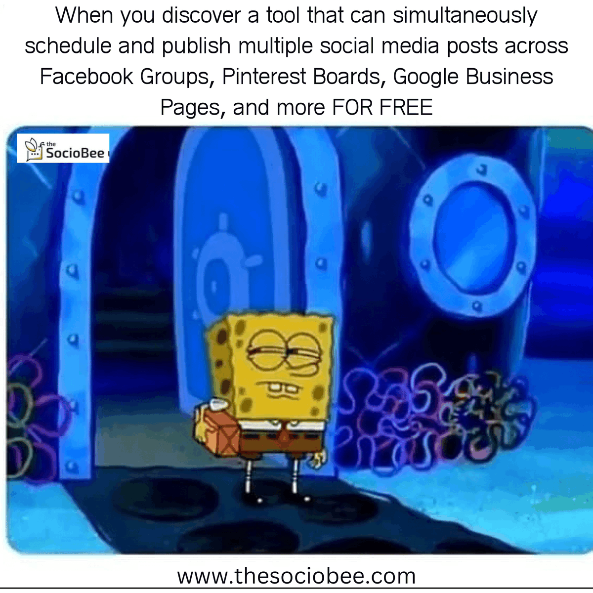 TheSocioBee's tweet image. Honestly, we&apos;re not joking! There is no cost and no need for a credit card. Dont believe us? Sign up and see for yourself!
#thesociobee #freesaas #startup #opportunity #socialmediamarketing #freetouse #smallbusiness #mediumbusiness #sociobee #software