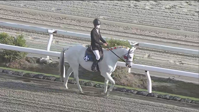 ユリの紋章😭
#ブラゾンドゥリス