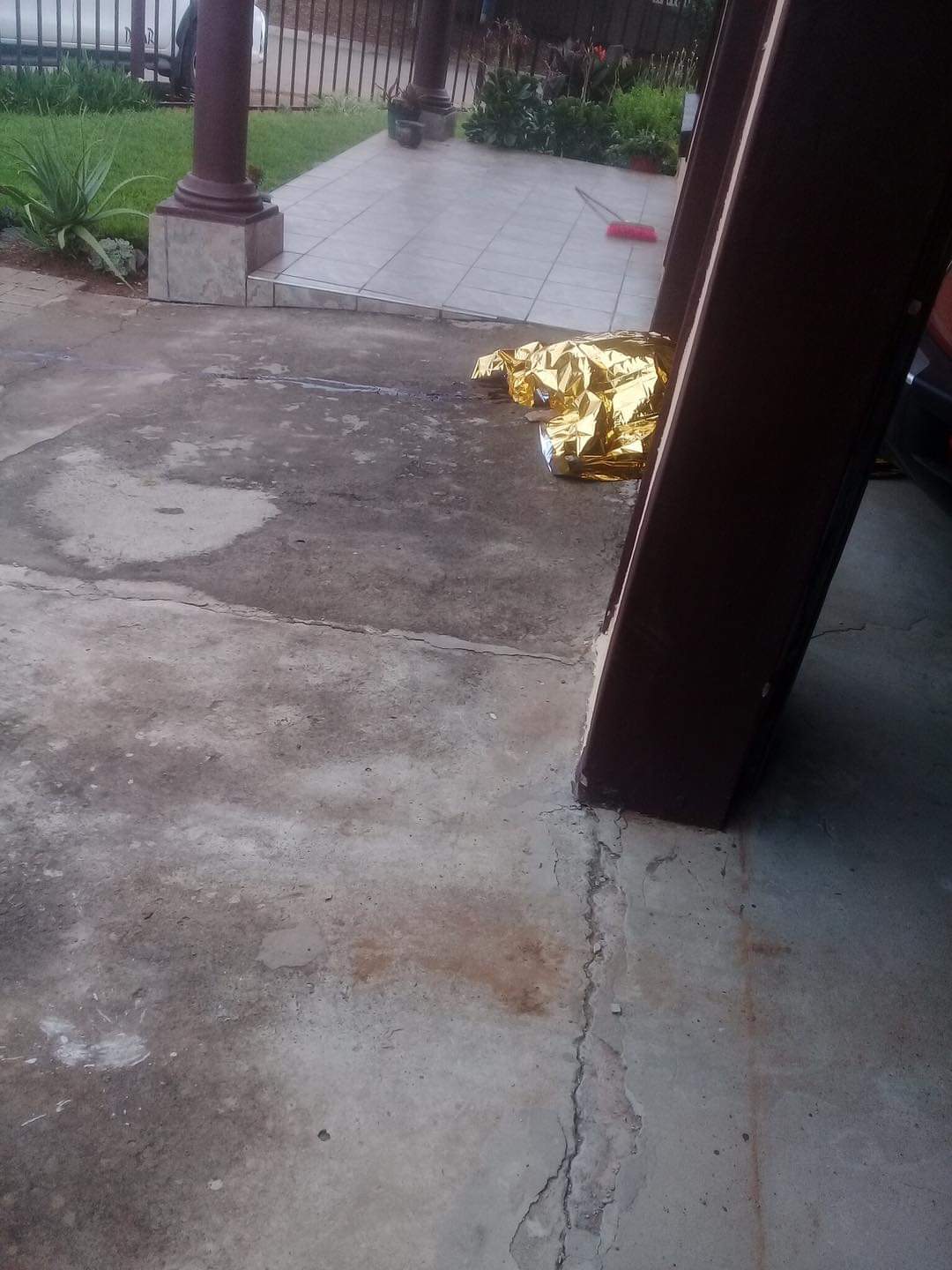 minister of durban on Twitter "A pitbull has killed a child in Vista