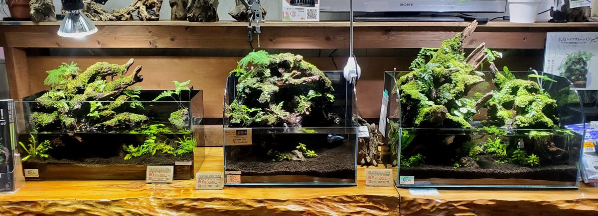 90%OFF!】 アクアテラリウム jacky5636様専用 en-dining.co.jp