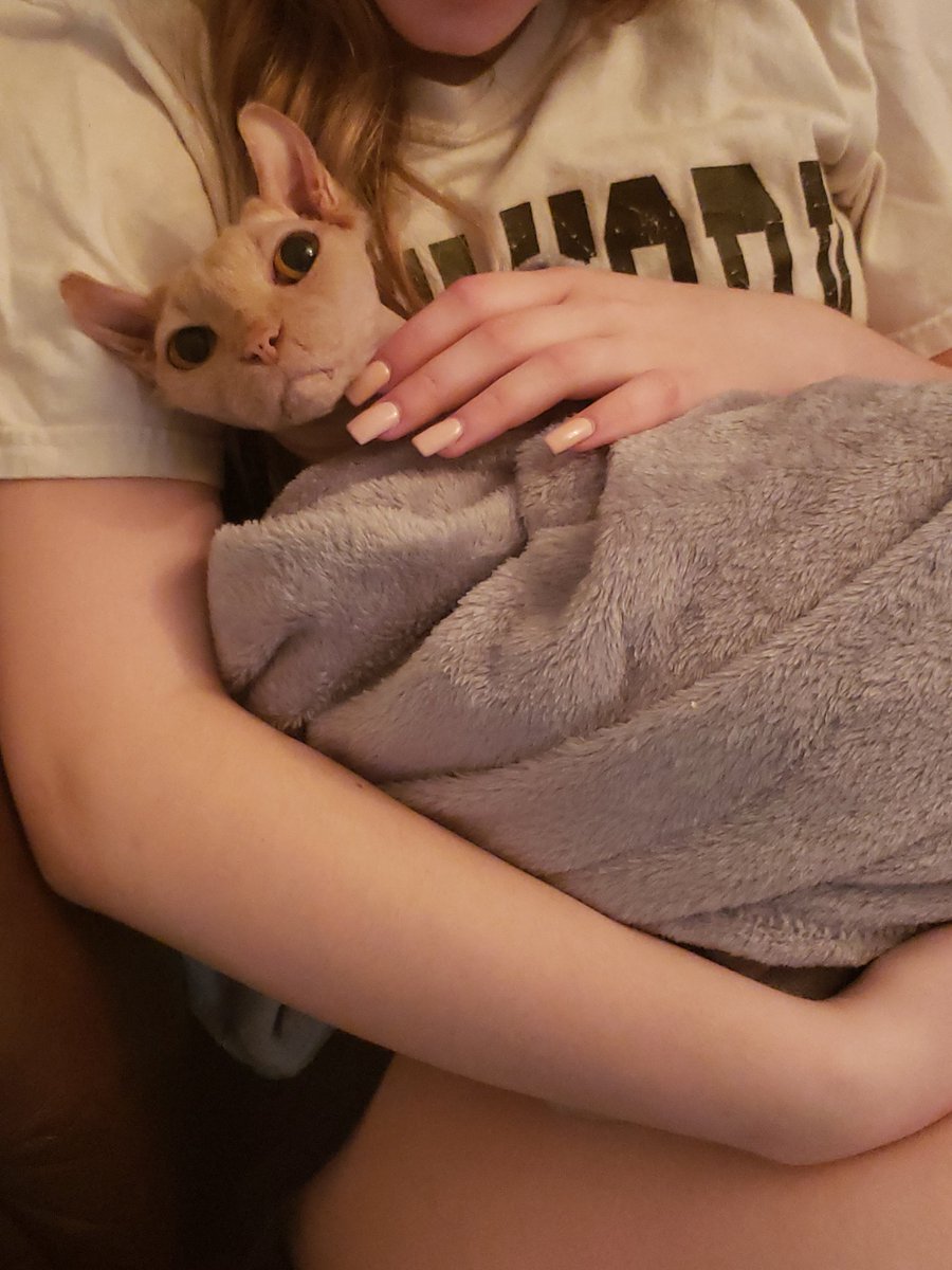 PEEWEE AKA BURGER 🧡 tweet media