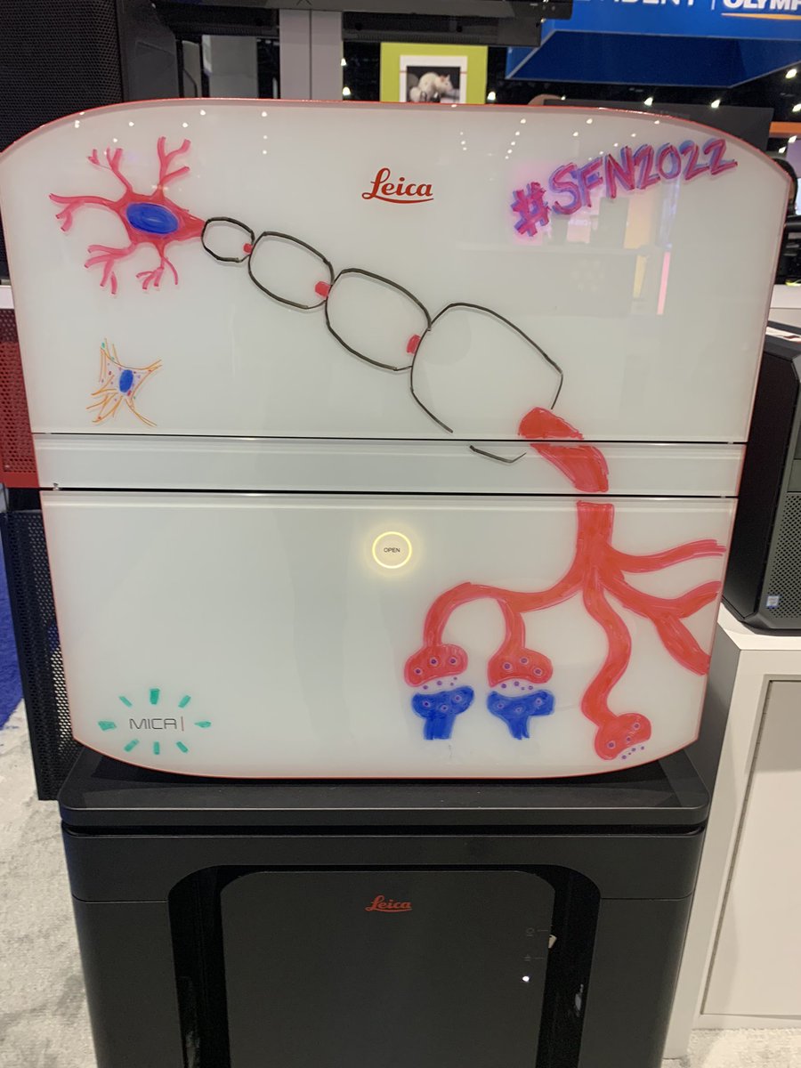#MicaArt at #sfn2022 thanks to Leslie Koyama 👩‍🎨 

Show starts tomorrow! Please stop by Booth 1829 to see us! 🧠 🔬