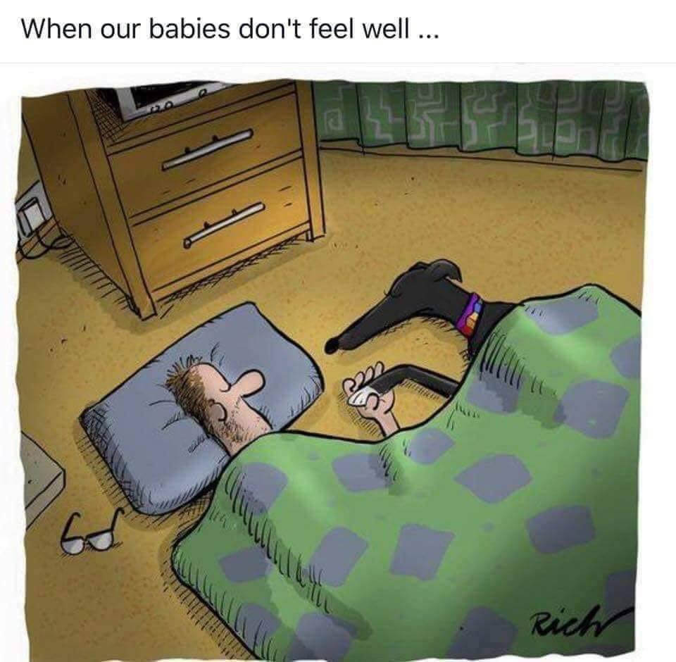 _B___S's tweet photo. Who else does this? ♥️🥺 https://t.co/7wqskAom7P