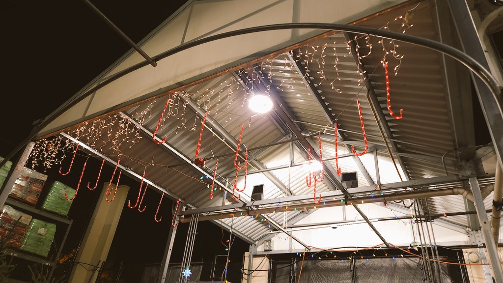 RTomkins4's tweet photo. Welcome to CANDYLAND, more festive🎄than ever! Thanks to @THD0941 D28 elves with decorating 🤫
Such a great feeling hearing children say "WHOAAAA" when they see all the lights and the tree!! https://t.co/xu4Pyunkfb