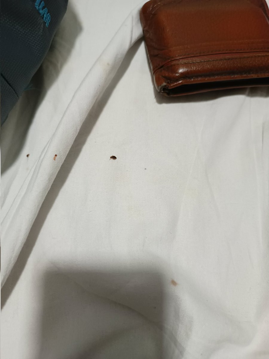 bholaktw2010's tweet photo. Dear sir, we booked a railway dormitory against our pnr number 4339430614 at Visakhapatnam D1I and D1J. Those are full of bugs. We informed the station master and care taker. None of them helped. We want strict action and refund with penalty
@PiyushGoyal @RailMinIndia https://t.co/B9v8tM1KY2