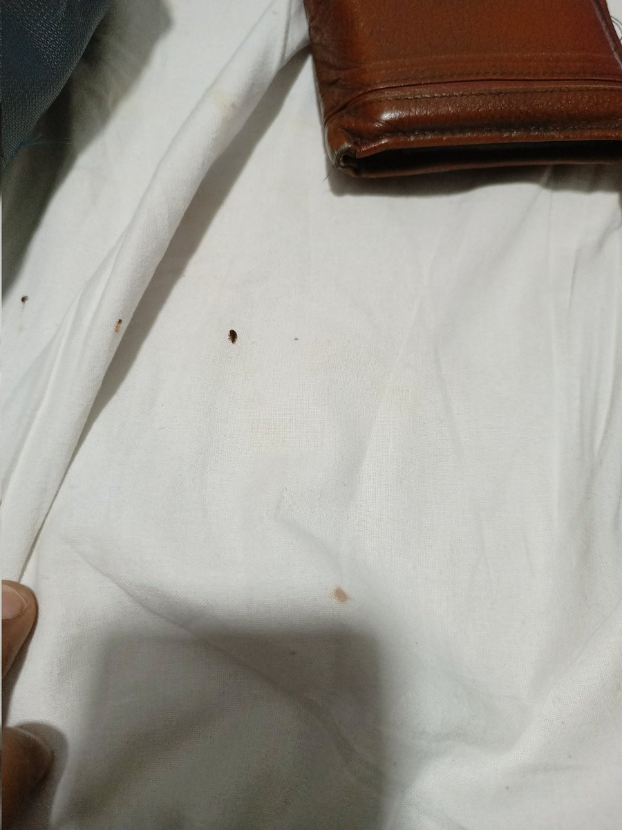 bholaktw2010's tweet photo. Dear sir, we booked a railway dormitory against our pnr number 4339430614 at Visakhapatnam D1I and D1J. Those are full of bugs. We informed the station master and care taker. None of them helped. We want strict action and refund with penalty
@PiyushGoyal @RailMinIndia https://t.co/B9v8tM1KY2