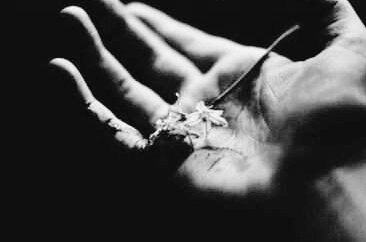 hclfblccdprince's tweet photo. ⠀
                  "some secrets are so strange and so dangerous that showing them to people makes the strangeness and the danger pour into their lives like a dark, dark ink..."

𝐚 𝐦𝐚𝐫𝐚𝐮𝐝𝐞𝐫𝐬 𝐞𝐫𝐚 𝐬𝐞𝐯𝐞𝐫𝐮𝐬 𝐬𝐧𝐚𝐩𝐞 #𝐰𝐫𝐢𝐭𝐭𝐞𝐧𝐛𝐲𝐥𝐞𝐬𝐥𝐢𝐞
⠀ https://t.co/r5XEwdbmoS