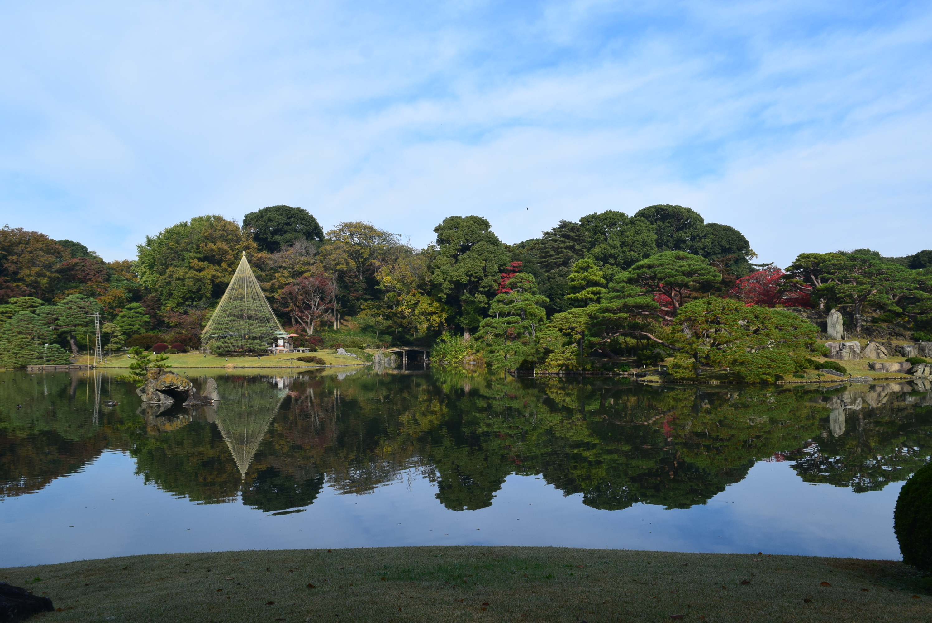 六義園 Twitter Search Twitter