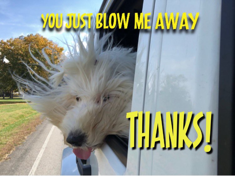 MsRealRegiGirl's tweet photo. @donkoclock @copgrailsoles @bling_momma @AnthonyGoulet11 @tendiessss @Freddiebarden @lisa_verdusco @ShannyGoPackGo @ModerateBetsy @SusanHatesBS @Beccs7759 @SCBlueJayne @nilleah @Lisagswells @MRedsecker @migilen @jzzumster @azgrl007 @StephensVina Thank you soooo much Donk for the tag, boy do I need it! Lost my account simply for asking if they were going to arrest Trump in the same manner they arrested George Floyd? Account gone!! #VoteBlueToSaveDemocracy #ResistingTogether #Resisters https://t.co/r43xPOEuLb