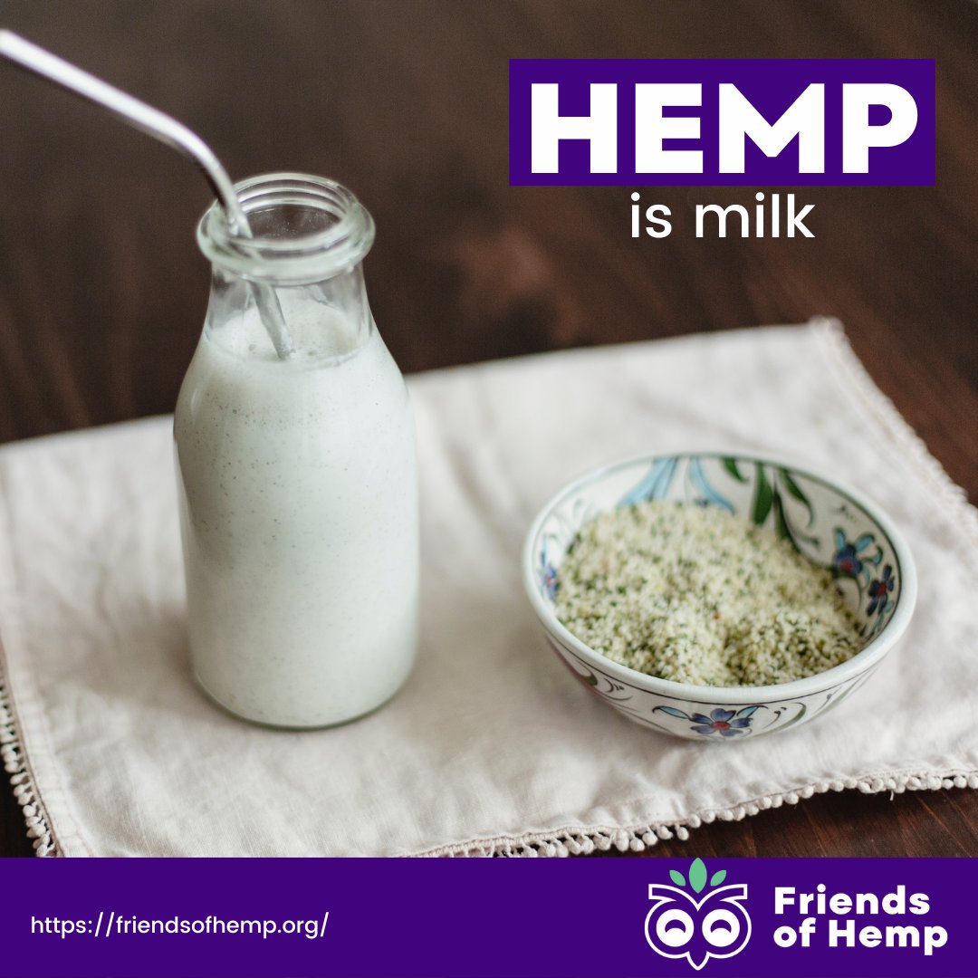 FriendsOfHemp's tweet photo. If you're a fan of drinking #milk, you may want to consider switching to hemp milk.
#Hemp milk has many of the same nutrients as regular dairy milk and may even provide some #health #benefits.
#gha #foh #hempagriculture #hempgrowers #hempresource #health #nutrients #proteins https://t.co/GFQ7y1HAF0