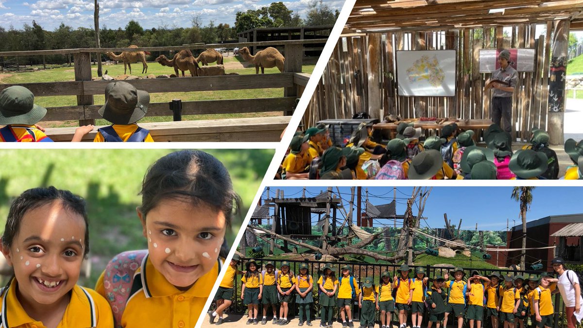 Stepping out of the classroom and into the wild! 

Yr1 &amp; Yr2 students made connections to country and explored our world's amazing living things at Sydney Zoo #LoveWhereYouLearn #activelearners #knowledge <a href="/maraudovicic/">MLeeson</a> <a href="/janholt07/">Jan Holt</a>