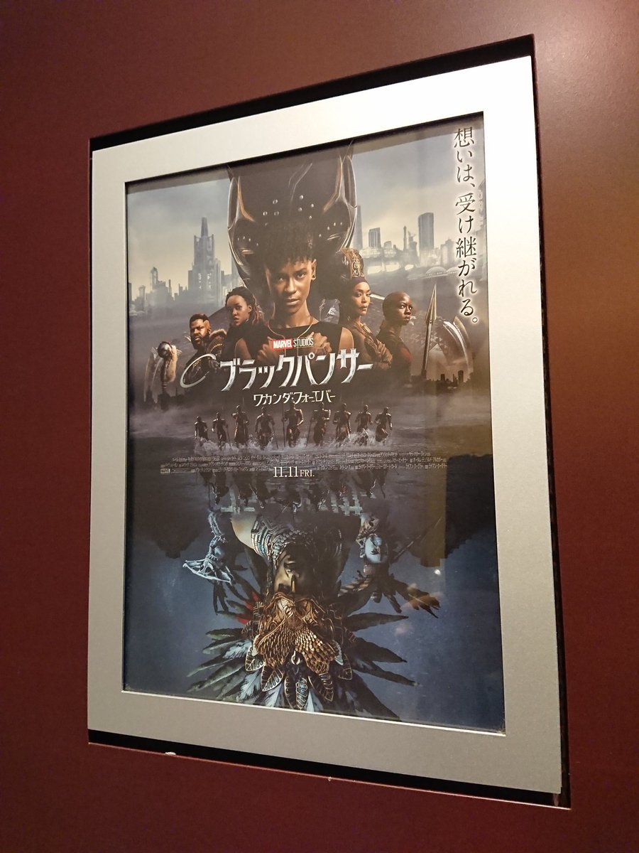 ラシビアとは何ですか?