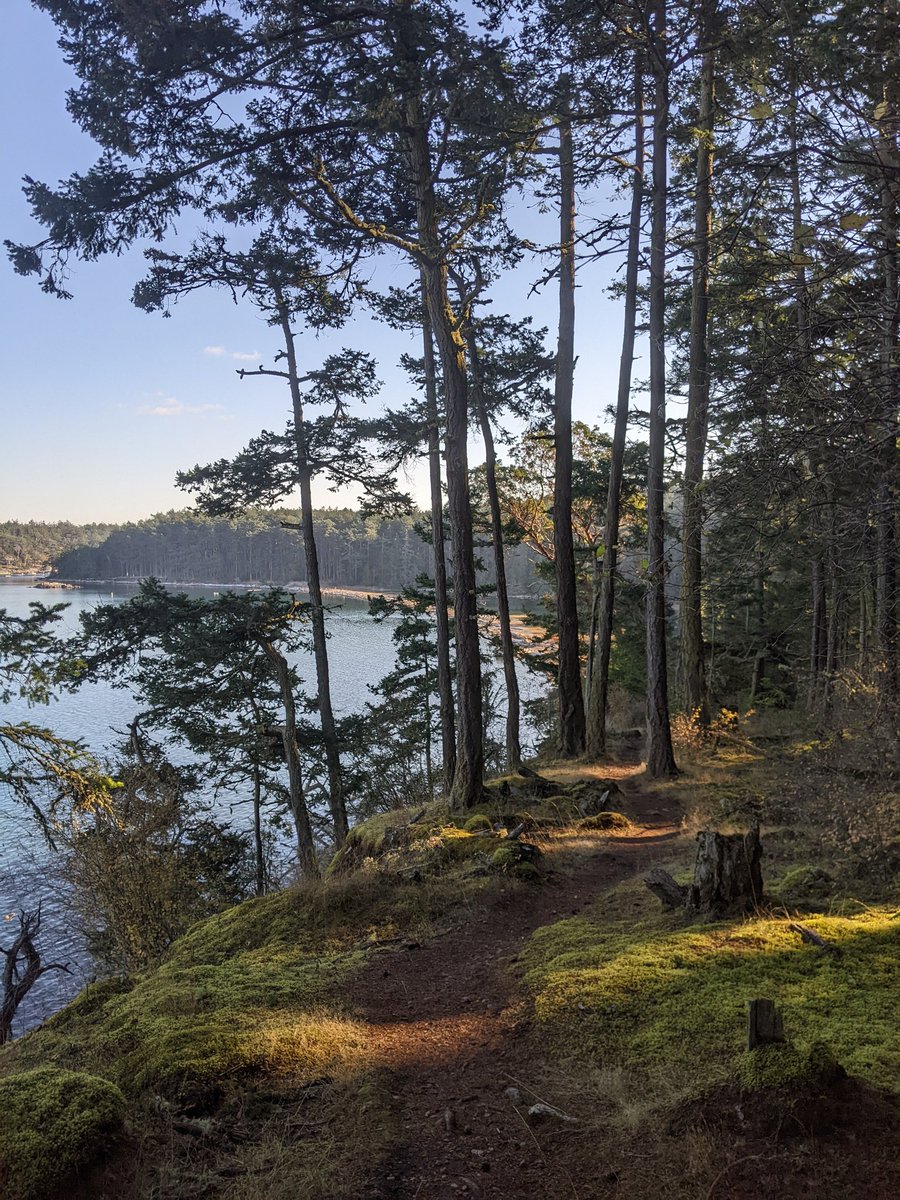 danggoodcode's tweet image. San Juan views