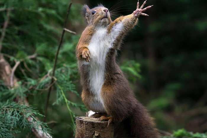 In six words or fewer, write a story about this photo.
#sixwordstory #WritingCommunity