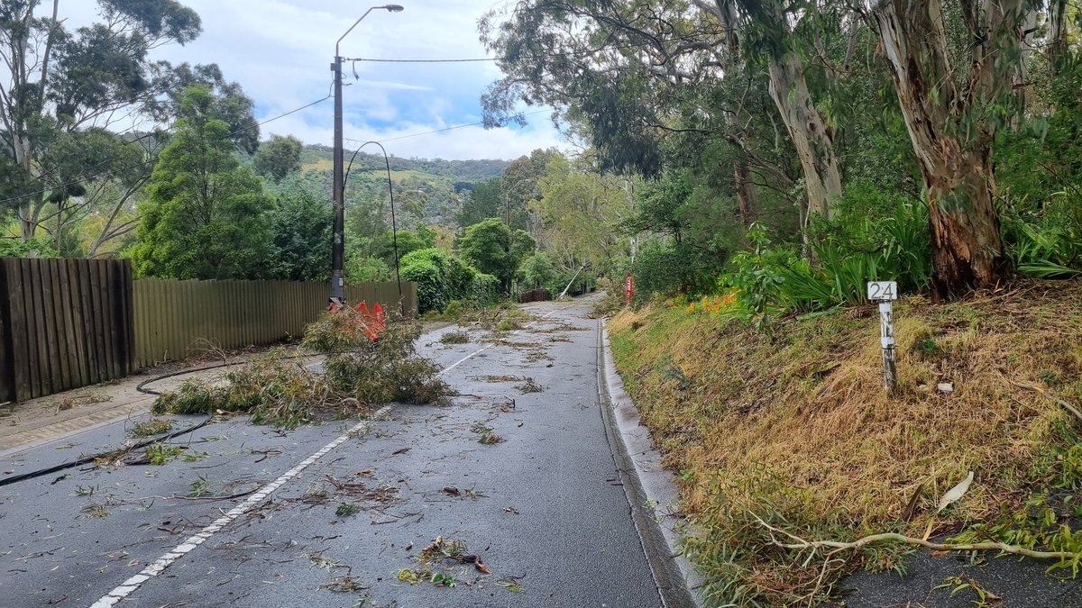 Chris Parsons tweet media