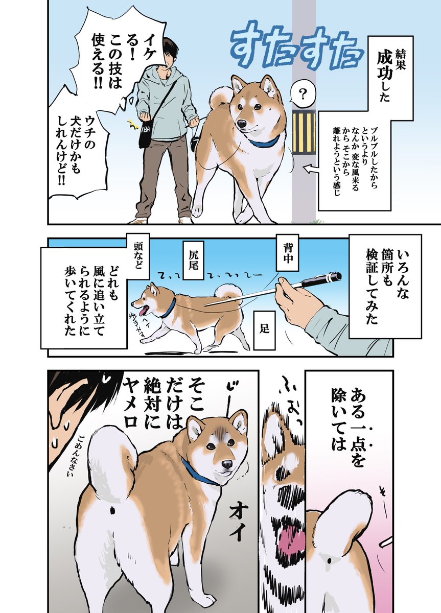 お散歩中 ちっとも進まない犬を
歩かせる方法 考えてみた 